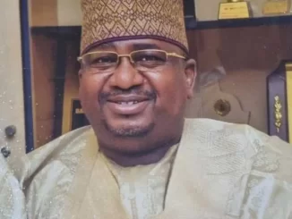 Banditry: Gov Idris laments killing of NIS personnel in Kebbi