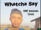 DMP – Watcha Say Amapiano