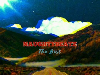 Naughtybeatz - The Best