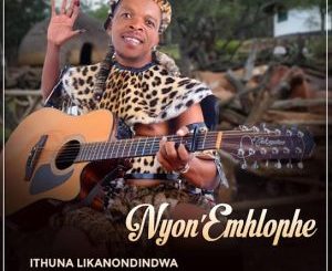 Nyon'emhlophe – Ukhuluma ushidi ft Feleba Jali