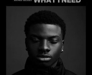 Rord kelly – What I Need