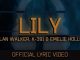 Alan Walker - Lily K Ft. K-391 & Emelie Hollow