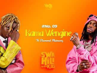 D Voice - Kama Wengine ft. Diamond Platnumz