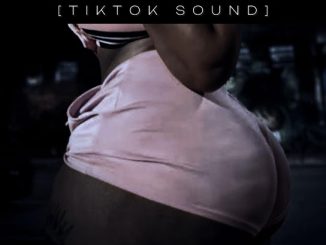 DJ EXPERIENCE - Nyash Na Nyash (TikTok Sound)