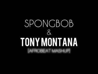 DJ EXPERIENCE - Spong Bob & Tony Montana (Afrobeat Mashup)