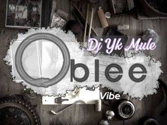 Dj Yk Mule - Oblee Vibe