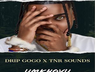 Drip Gogo – uMkhovu ft. TNR Sounds