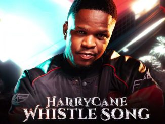 HarryCane - Whistle Song