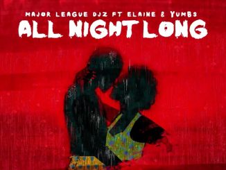 Major League Djz - All Night Long ft. Elaine and Yumbs