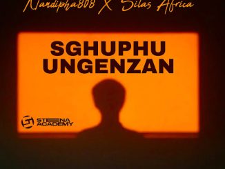 Nandipha808 - Sghuphu Ungenzan Ft. Silas Africa