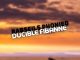 Rabseils Phonied - Ducible Fibanne