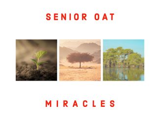 Senior Oat – The Only One ft. Saltie