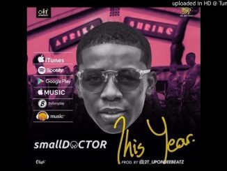 Small Doctor - This Year