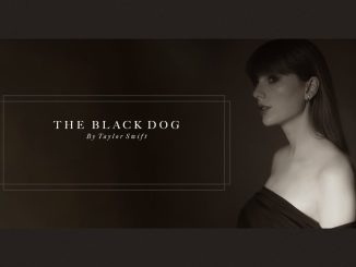 Taylor Swift - The Black Dog