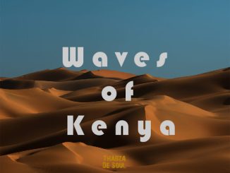 Thabza De Soul - Waves of Kenya