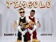 Danny S - TIMBOLO ft. Oritse Femi