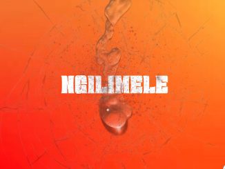 Drizzy Sam (RSA) - Ngilimele ft. Nompumiie