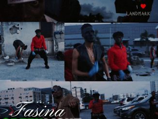 Fasina - GREEN LIGHT (LANDMARK)