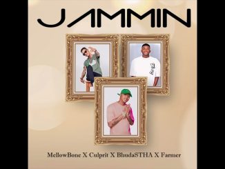 MellowBone - Jammin ft. Culprit 001 ,BhudaSTHA , Farmer