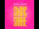 Rayvanny X DreamDoll – Shake Shake