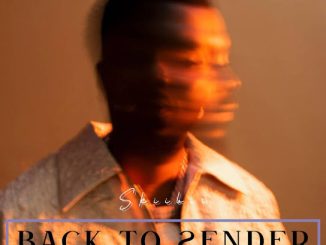 Skiibii – Back To Sender