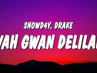 Snowd4y - Wah Gwan Delilah Ft. Drake