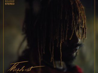 Thundercat - How Sway