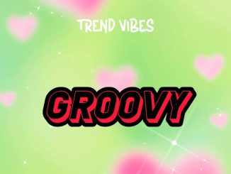 Trend Vibes - Groovy