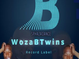 WozaBTwins - Spaza Dance