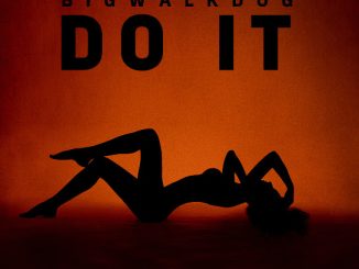 BigWalkDog – Do It