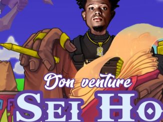 Don venture - Sei Ho