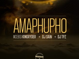 Mcebisi Kingryder - Amaphupho ft. Dj Sain & DJ TPZ