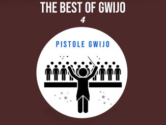 Pistole Gwijo - Isililo