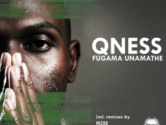 Qness – Fugama Unamathe ft. Oluhle