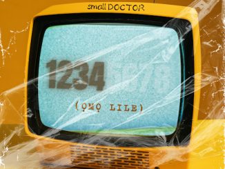 Small Doctor - 1234 (omo Lile)