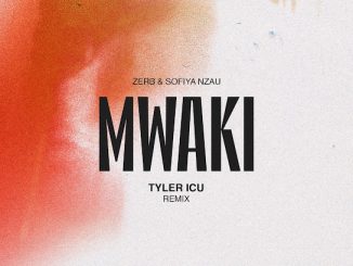 Zerb - Mwaki (Tyler ICU Remix) ft. Sofiya Nzau