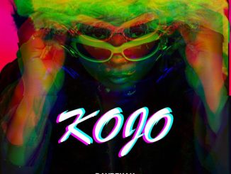 Raybekah – KOJO ft. Dolly Ditebogo, Mulest Vankay, Treble Deep & Thebelebe