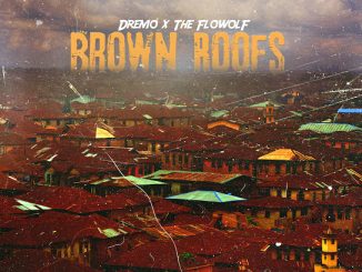 The Flowolf - Not Telling Us Ft. Dremo