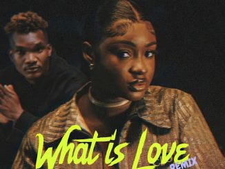 Djy Wagner Musiq - What Is Love (Remix) ft. Morravey