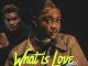 Djy Wagner Musiq - What Is Love (Remix) ft. Morravey