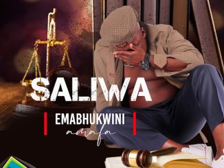 Saliwa - Let's chill Together Ft. Gqizile