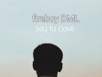 Fireboy DML - Soy Tu Clave